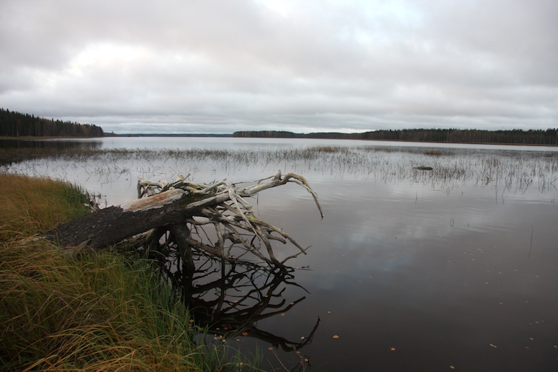 Kuivasjärvi on Parkanon alueen merkittävä kohde.