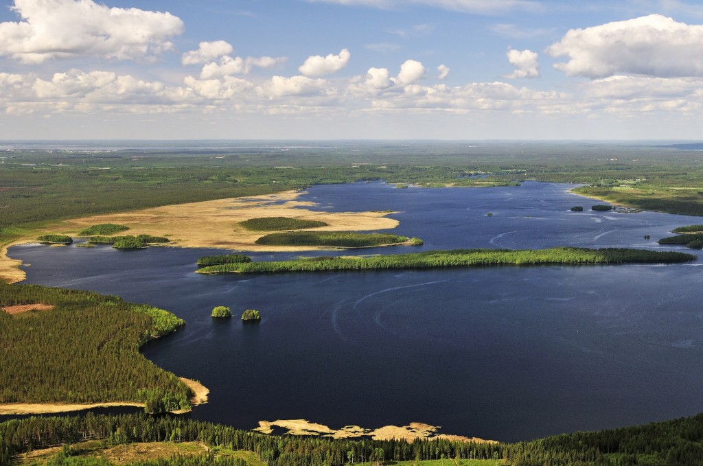 Jukajoki purkaa Pielisjokeen Pitkärannan pohjoispuolella. Kuva: Matti Pihlatie.