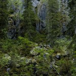 Vaara-Karjalan koulut ja kulttuurin elvytys