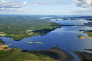 Pielisjoki. Matti Pihlatie, 2014.