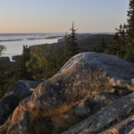 Vaara-Karjala -hanke