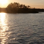 Kuivasjärven tila ja valuma-aluekunnostukset