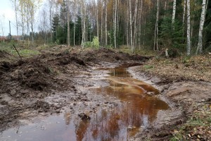 Uuden ison kosteikon reuna on luonnonmukaisesti myötäilevä.