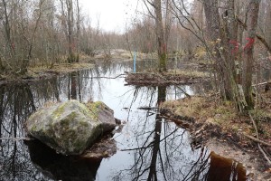 Kosteikon suunnittelussa on korostettu monimuotoisuus- ja maisema-arvoja itse vesiensuojelun lisäksi.