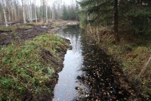 Kaakkurinevan valuma-alueen allas