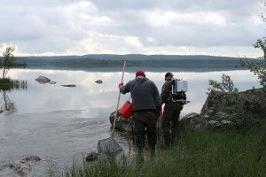 Dosentti Tero Mustonen ja Lapin ELY:n ylitarkastaja Jarmo Huhtala sähkökalastavat Kirakkakoskella.