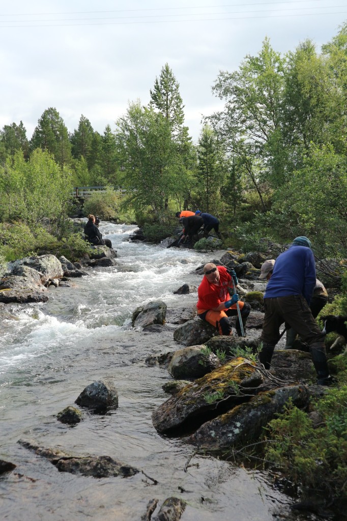 Kirakkakosken kunnostusta.