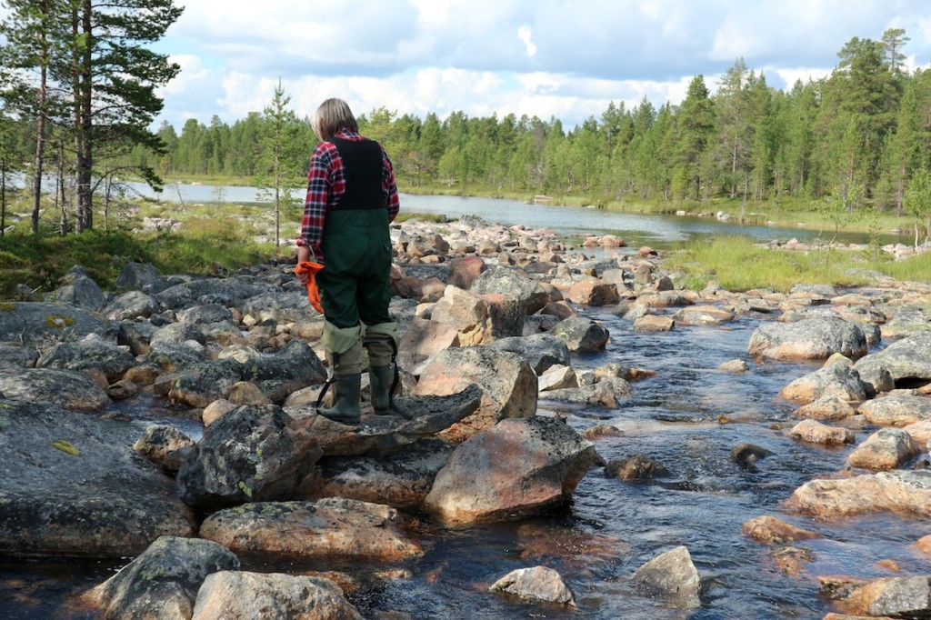Vainosjoen alapää on saatu lähemmäksi luonnontilaa. Vladimir Feodoroff tarkastelee päivän tuloksia.