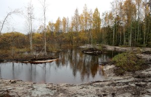IMG_4741