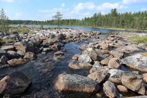 Vainosjoen ennallistettu suisto