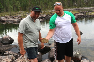 Vainosjoen osavaluma-alueella havaittiin runsas piileväesiintymä.