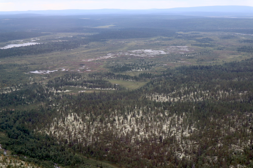 Kuolan erämaita