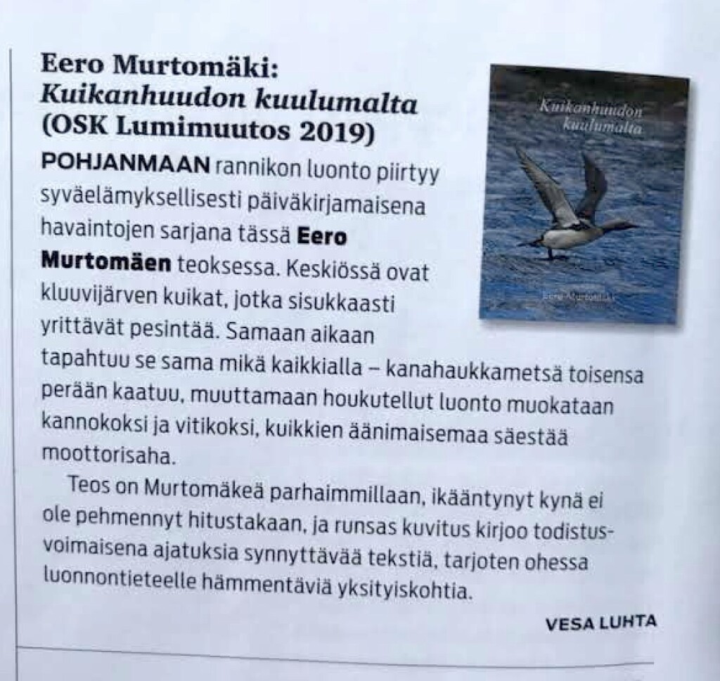 kuikka