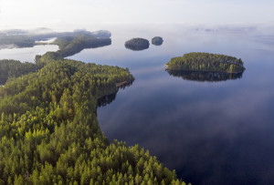 Koitereen Lammassaari elokuun aamuna.