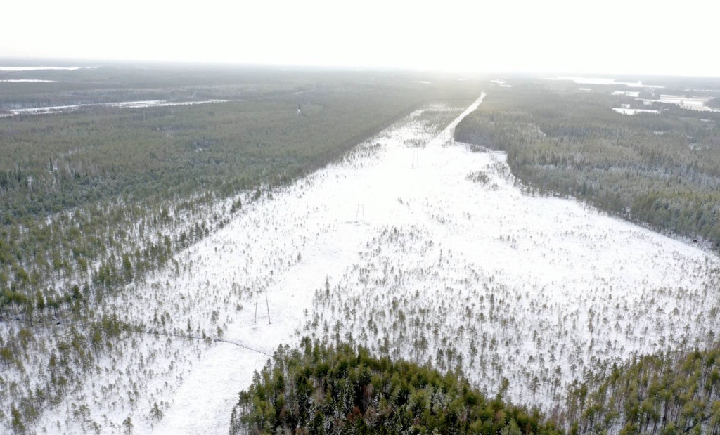 Louhineva Kuivasjärven pohjoispuolella talvella.