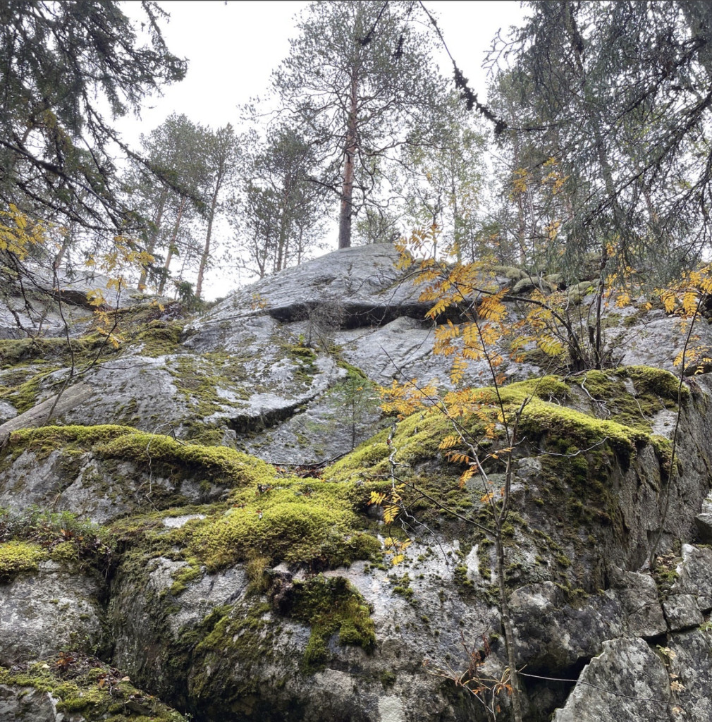 jaakko1