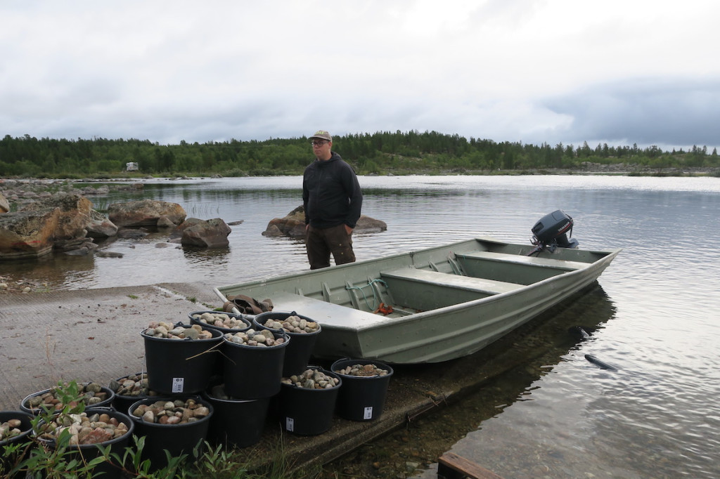 Asiantuntija, kalastaja Lauri Hämäläinen on osallistunut Näätämöjoen tutkimuksiin 2018 alkaen.